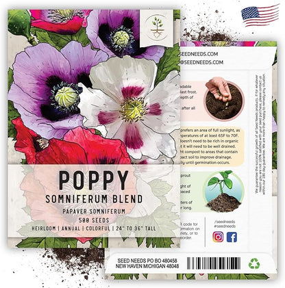 Seed Needs Mixed Somniferum Poppy Seeds for Planting - Heirloom & Open Pollinated Annual Flowers - Colorful Masses of Wildflowers, Perfect for a Butterfly Garden (2 Packs)