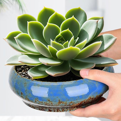 Bonsai Pot Water Lily Bowl Succulent Planter Ceramic Flower Pot Shallow Decorative Bowl for Home Office Garden Balcony (No Drainage Hole)