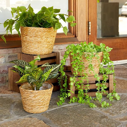 Juvale Seagrass Planter Set with Plastic Lining, 3 Woven Baskets for Plants (3 Sizes)