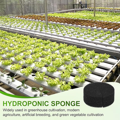 50-Pack Hydroponics Sponges, 2.76 Inch Growing Media Cylindrical Sponges for Planting Gardening Tool/Grow Seedlings/Home Vegetable Flower, Soilless Cultivation Seedling [Black]