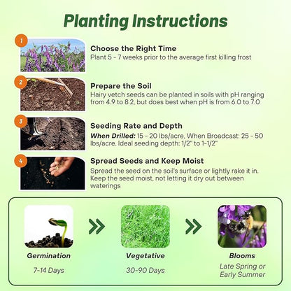 Outsidepride Hairy Vetch Cover Crop Seeds - 1 Lb Cold Tolerant, Winter Hardy - Ideal for Soil Improvement, Green Pasture, Hay & Livestock Forage - Pollinator Friendly Garden Seeds, Ground Cover