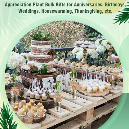 Baderke 48 Pcs 3.54'' Plastic Plant Propagation Stations with Hole Lid 4oz Planter Vase Clear Propagation Jars with Thank You Tags for Plant Lover Gifts for Women Office Home Garden