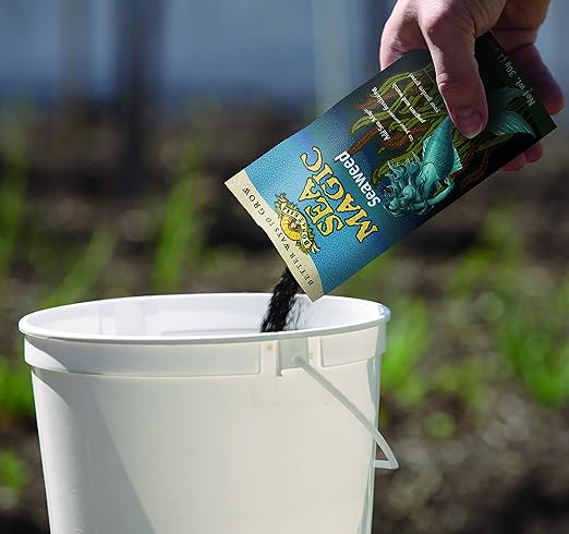 Sea Magic Dry Soluble Seaweed Extract Fertilizer - 30 Gram Bag - Makes 66 Gallons