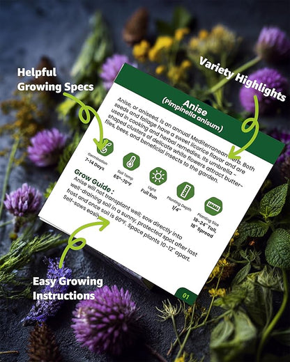 Medicinal & Tea Herb Seeds for Planting - 35 Non-GMO Heirloom Variety Pack for Indoor/Outdoor Garden: Anise, Bergamot, Borage, Fennel, Chamomile, Dandelion, Oregano, Hyssop, Catnip Seeds & More