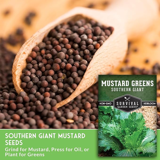 Southern Giant Mustard Green Seeds for Planting – Heirloom Non-GMO Spicy Greens, Heat Tolerant and Slow to Bolt for Home Vegetable Gardens - Survival Garden Seeds (5 Packs)
