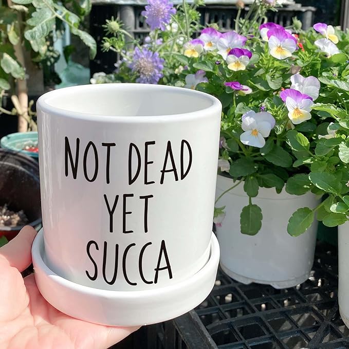 Not Dead Yet Succa - 4.3 inch Funny Succulent Pot, Funny Planter Pots Cactus, Small Plant Pots with Drainage Hole, Home Office Windowsill Pot Decor