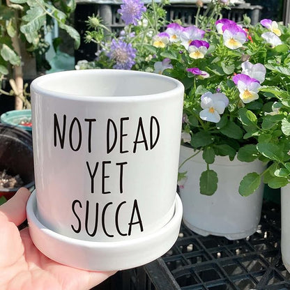 Not Dead Yet Succa - 4.3 inch Funny Succulent Pot, Funny Planter Pots Cactus, Small Plant Pots with Drainage Hole, Home Office Windowsill Pot Decor