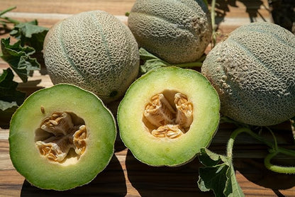 Plant Good Seed Organic Ice Cream Melon Seeds - Pack of 35, Heirloom Seeds for Planting Fruit, Vegetables - Gardening Supplies, Vegetable Garden - Non-GMO, Open Pollinated, from USA