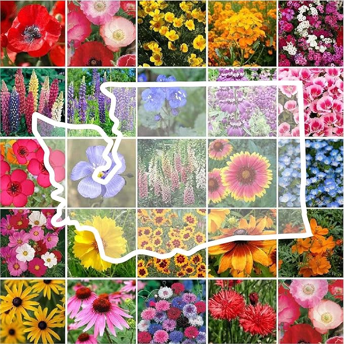 Eden Brothers Washington Wildflower Mixed Seeds for Planting, 1 lb, 480,000+ Seeds with Cosmos, Bluebell | Attracts Pollinators, Plant in Spring or Fall, Zones