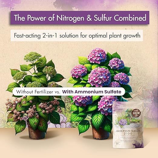 Ammonium Sulfate 21-0-0 Fertilizer, High Nitrogen for Rapid Plant Growth & Deep Green Color, Ideal Soil Acidifier to Lower pH in Alkaline Soil, 5 lb
