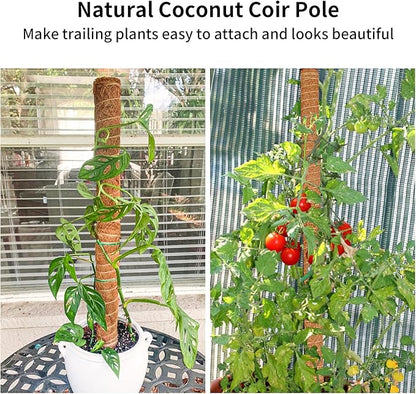 JJGoo Moss Pole for Plants Monstera, 2 Pack 23.6 inch Plant Support Pole, Extendable Coir Totem Pole for Potted Plants Pothos,Train Indoor Climbing Plants to Grow Upwards - Extends to 40.6 Inches