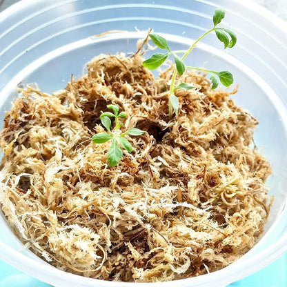 1.1 lb Sphagnum Moss for Plants, Carefully Selected Clean Sphagnum Mos for Rooting Plants