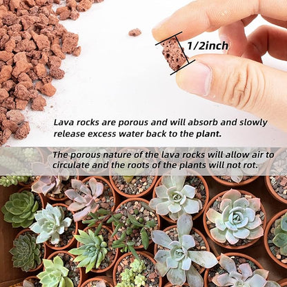 14lb Red Lava Rock for Plant, Horticultural Volcanic Rock Soil for Decorative Landscaping Bonsai, Cacti, Succulents Plants Top Dressing for Release Excess Water