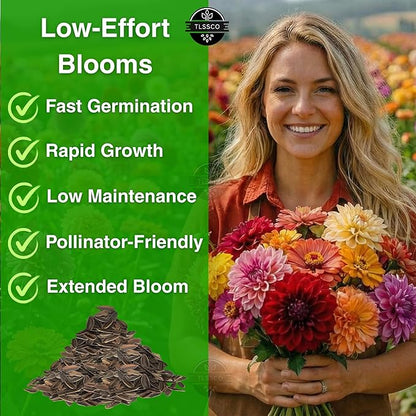 754+ Zinnia Dahlia Seeds, Pack for 2026 USA Premium Non-GMO Flower Seeds, Vibrant Zinnia Elegans for Pollinator Gardens, Borders & Containers, Easy-to-Grow Outdoor Blooms