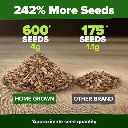HOME GROWN Dwarf Zinnia Seeds Mix - 600 Pumila Zinnia Seeds for 2026 (0.6g) | Zinnia Flower Seeds for Planting Outdoors | Colorful Cut Annual Flowers for Summer Gardens & Containers (Zinnia elegans)