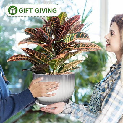 8 Inch Plant Pot, Ceramic Planter with Drainage and Saucer, Ceramic Pots for Plants, Indoor Plant pots,Ceramic Flower pots(Gray + White, Plants NOT Included)