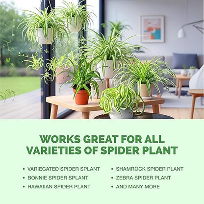 Spider Plant Fertilizer for Spider Plants, Great for Curly, Striped, and Solid Green Varieties, Liquid Fertilizer by TPS Plant Foods, 32oz (1 Quart)