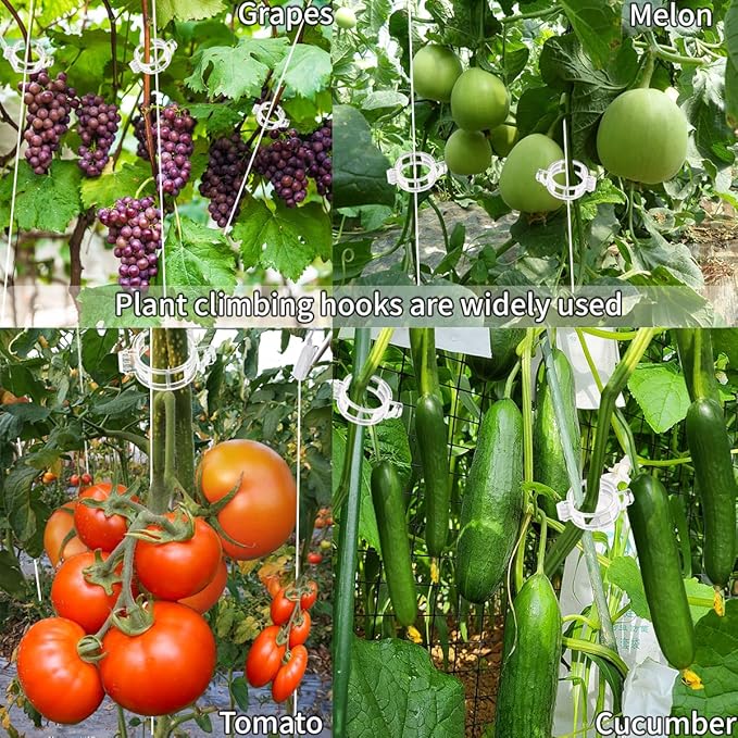 85pcs Tomato Support J Hooks with String, Plant Climbing J Hooks Set Plant Climbing Hook with 33ft Twine, Garden J Hooks &plant support clips Support Trellises For Support Plant Vegetable Fruit Flower
