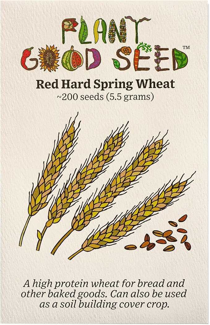Plant Good Seed Organic Hard Red Spring Wheat Seeds for Planting: High Protein Heirloom Grain, Light Brown Kernels - 200 Seed Packet