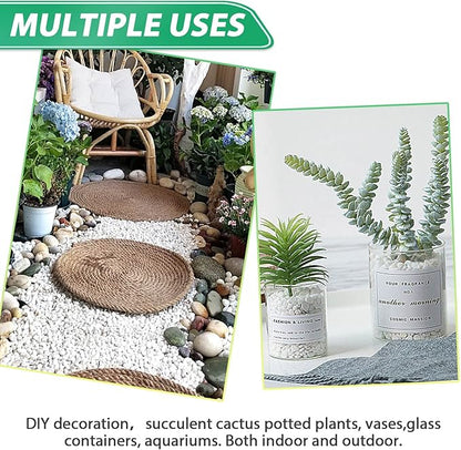 Succulent Rocks for Plants Tiny Pebbles for Planters 2.8LB Pea Gravel Bulk Course Sand Soil Small Decorative Stones for Indoor Bonsai Pots Cactus Top Dressing Aquarium Garden Landscape, White