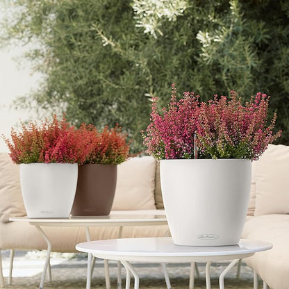 Lechuza 13210 Classico 35 Self-Watering Planter for Indoor and Outdoor Use, 14" x 14" x 13", White Matte