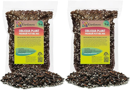 GARDENERA Monstera Obliqua Planting Mix - Promotes Steady Growth and Healthy Leaves - 10 Quart (2 Bags of 5 Quart)