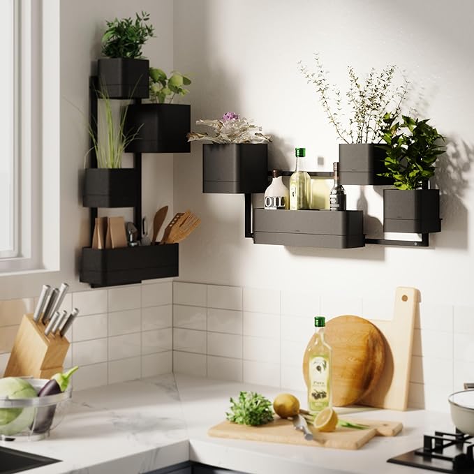 Umbra Cubiko Wall Planter with 4 Lightweight and Durable Pots (Black)