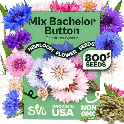 SVI 800 Bachelor Button Seeds for Planting (Centaurea cyanus) – Cornflower, Wildflower Mix Seed Packets – Heirloom Flower Seeds to Plant Outside in Garden, Borders, and Containers