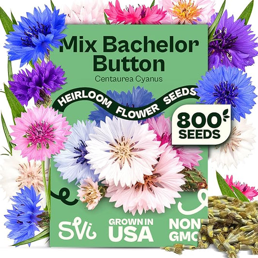 SVI 800 Bachelor Button Seeds for Planting (Centaurea cyanus) – Cornflower, Wildflower Mix Seed Packets – Heirloom Flower Seeds to Plant Outside in Garden, Borders, and Containers