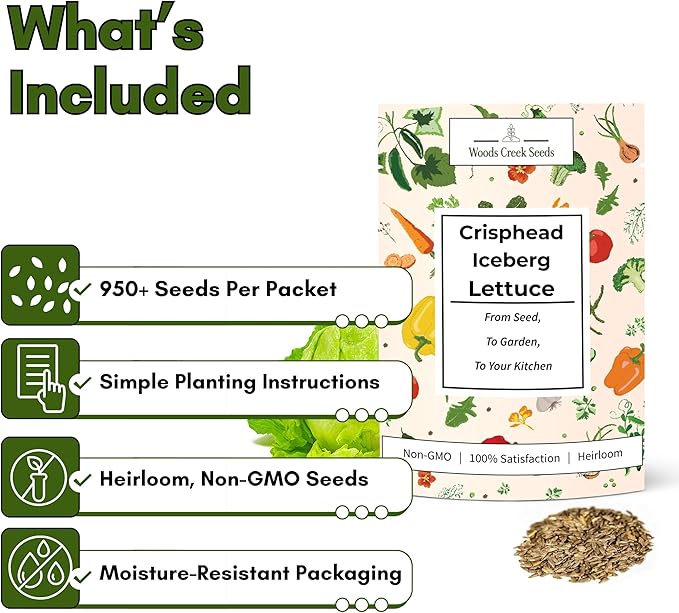 Crisphead Iceberg Lettuce Seeds for Planting - Heirloom, Non-GMO Head Variety with Dense, Crunchy Heads for Fresh Salads, Sandwiches, and Home Garden Growing | Woods Creek Seeds