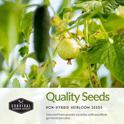 Survival Garden Seeds Cucumber Collection - Mix of Armenian, Beit Alpha, Lemon, National Pickling, & Spacemaster Seed Packets to Grow Vining Vegetables on The Homestead - Non GMO Heirloom Seed Vault