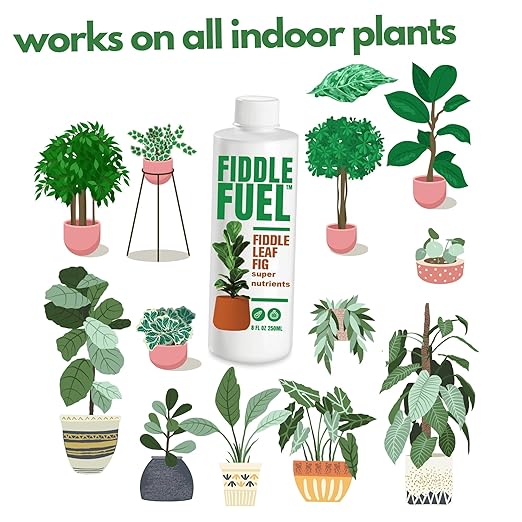 Fiddle Fuel – The Ultimate Fiddle Leaf Fig Premium Plant Fertilizer Liquid Nutrients Super Easy to Use for Fig Trees and Plants (Ficus Lyrata) – 8 oz