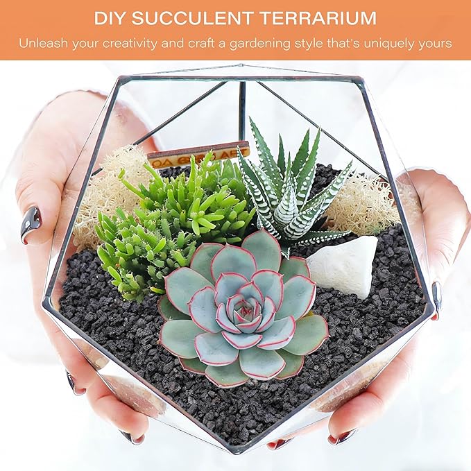 NUPICK 3lb Black Lava Rocks for Plants, 3/8" Succulent Potting Soil Amendments, Decorative Lava Rocks for Fire Pit, Volcanic Gravel for Aquarium, Natural Pebbles Pumice for Cactus, Vase, Top Dressing