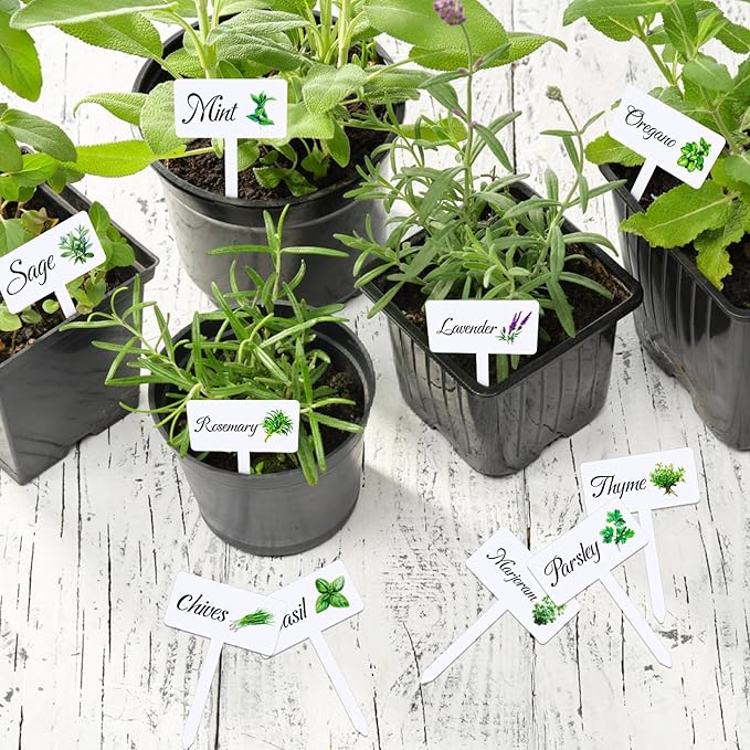 24 Pcs Acrylic Herb Garden Signs Plant Labels Waterproof Reusable Plant Tags with Names for Seedlings Nursery Outdoor Indoor Garden Permanet Labels Markers