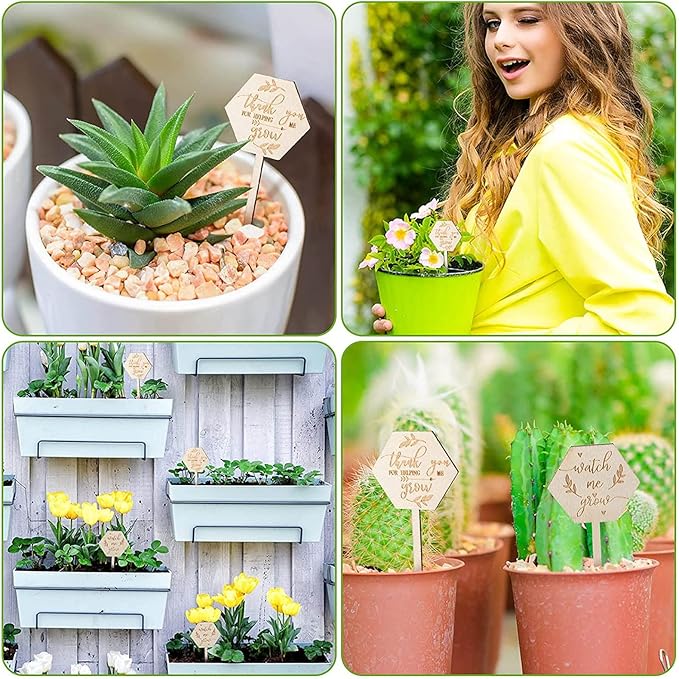 Watch Me Grow Succulent Tags, Wooden Plants Labels Thank You for Helping Me Grow Garden Marker Hexagon Planter Sign Decorations Gift for Greenhouse Potted Vegetable Seedling Baby Shower 36Pcs