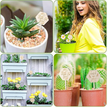 Watch Me Grow Succulent Tags, Wooden Plants Labels Thank You for Helping Me Grow Garden Marker Hexagon Planter Sign Decorations Gift for Greenhouse Potted Vegetable Seedling Baby Shower 36Pcs