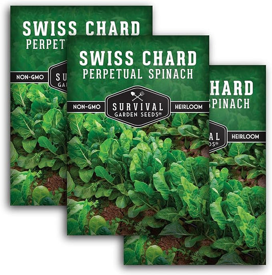 Survival Garden Seeds - Perpetual Spinach Seeds for Planting – Swiss Chard Variety with Spinach Flavor, Heat & Cold Tolerant Long Season Greens for Spring to Fall Harvest (3 Packs)