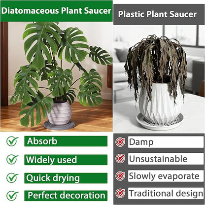 Plant Saucer Flower Pot Saucers Plant Trays for Pots Instant Dry Diatomaceous Earth Round Plant Drip Trays for Indoors Keeping Counter and Floors Dry and Clean (2Pcs Grey Large)