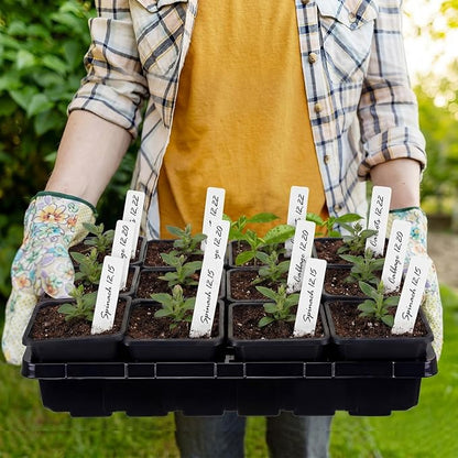 Nuenen Seed Starter Tray 10 Pcs, 3.5 Inch Square Nursery Pots 120 Pcs, Seed Starting Pot with Drainage, Seedling Trays, Microgreenings Plant Propagation Germination Tray, 10 Set