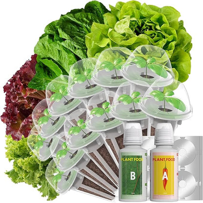 LYKOCLEAN Salad Romaine Lettuce Seed Pods for AeroGarden,Ahopegarden, iDOO Hydroponics Growing System,350 Seeds+ Including American Lettuce,Paris Island Cos Lettuce,Buttercrunch Lettuce (12-Pods)