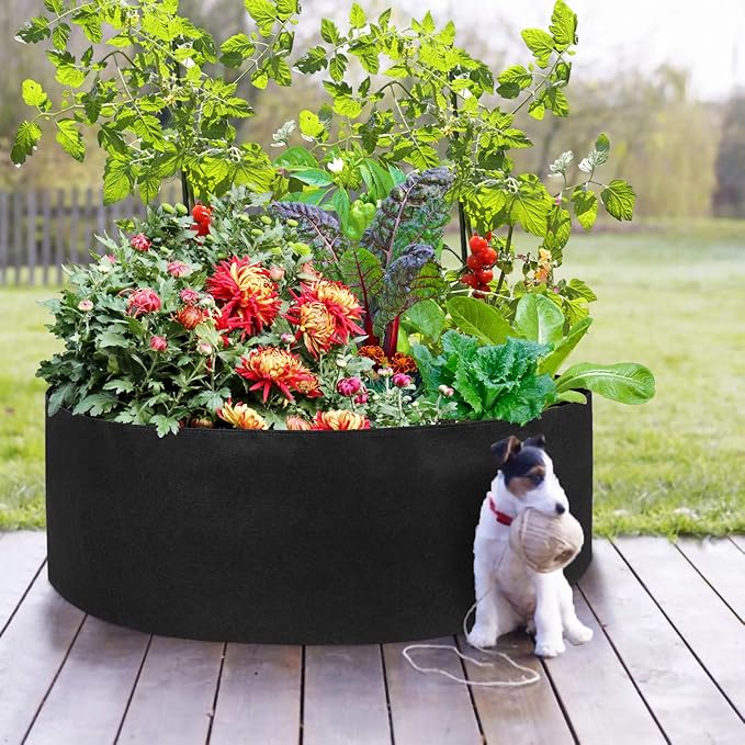Fabric Raised Planting Bed,50 Gallon Garden Grow Bags Herb Flower Vegetable Plants Bed Round Planter,Violet,Dia36 x 12"