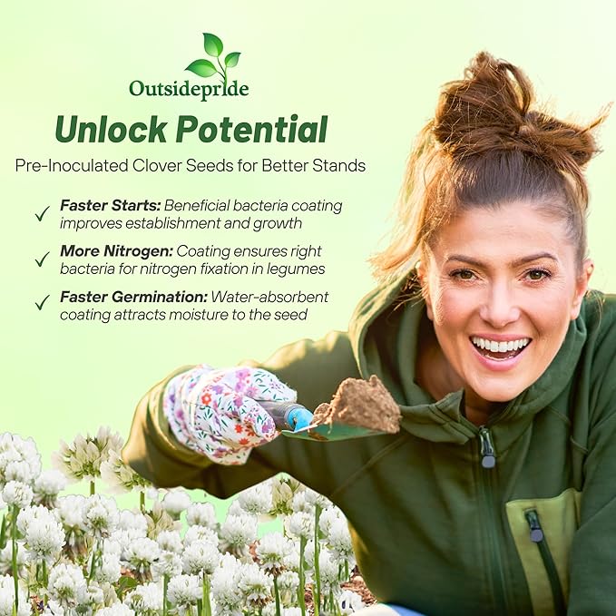 Outsidepride Perennial White Ladino Clover Seed - 10 lbs. Nitrocoated, Inoculated Bulk Clover Seeds, Ideal for Pasture, Forage, Food Plots & Wildlife Ground Cover for Continuous & Rotational Grazing