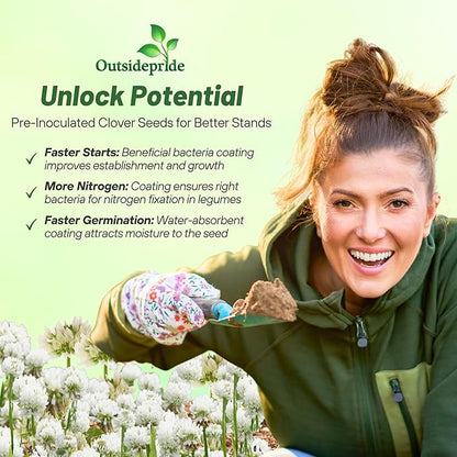 Outsidepride Perennial White Ladino Clover Seed - 10 lbs. Nitrocoated, Inoculated Bulk Clover Seeds, Ideal for Pasture, Forage, Food Plots & Wildlife Ground Cover for Continuous & Rotational Grazing