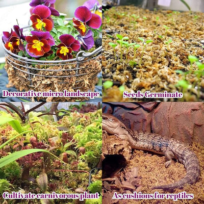 Legigo 5.3oz Premium Sphagnum Moss Potting Mix- Natural Succulent Carnivorous Plants Moss Dried, Plant Growing Medium for Orchid Succulent Sarracenia Orchid Gardening Plants Reptiles, 6 QT