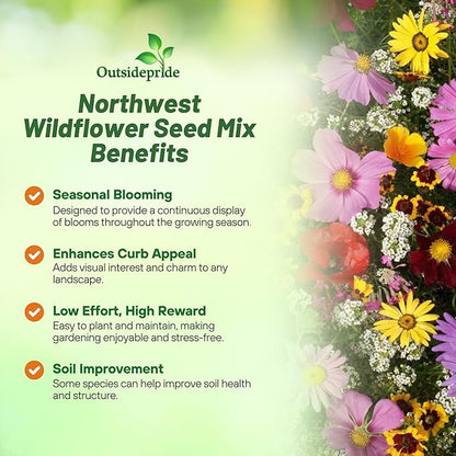 Outsidepride Northwest Wild Flower Seed Mix - 1/4 lb Premium Blend of Annual & Perennial Wildflower Seeds for Northwestern States - Ideal for Attracting Pollinators, Perfect for Garden Displays