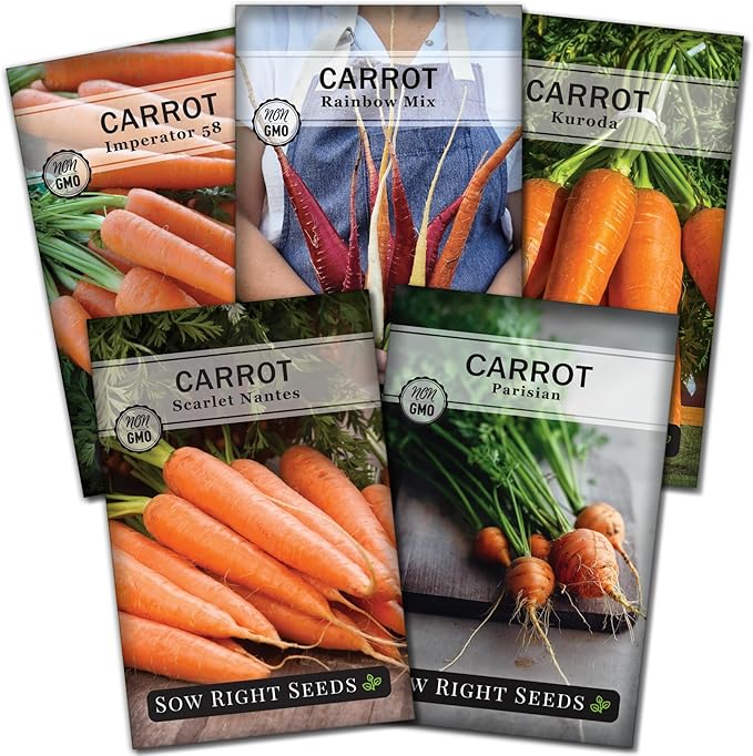 Sow Right Seeds - Carrot Seed Collection for Planting - Rainbow, Nantes, Imperator, Parisian and Kuroda Varieties - Non-GMO Heirloom Packet - Plant and Grow Your Outdoor Home Vegetable Garden