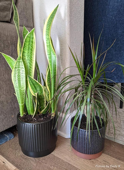 LE TAUCI Ceramic Plant Pots with Drainage Holes, Set of 3, 8+6.7+5.5 Inch Stripe Garden Planter Pots for Outdoor Indoor Plants Flower, Round Succulent Orchid Flower Pot, Reactive Glaze Black