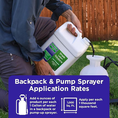 Commercial Grade Lawn Energizer- Grass Micronutrient Booster with Iron and Nitrogen- Liquid Turf Spray Concentrated Fertilizer- Any Grass Type, All Year- Simple Lawn Solutions (2.5 Gallons)