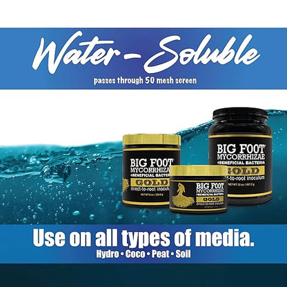 Mycorrhizal Fungi for Massive Plant Roots with Beneficial Organisms by Big Foot - Use During Transplanting, Water in or Hydroponics for All Plants - Gold 32 Ounces