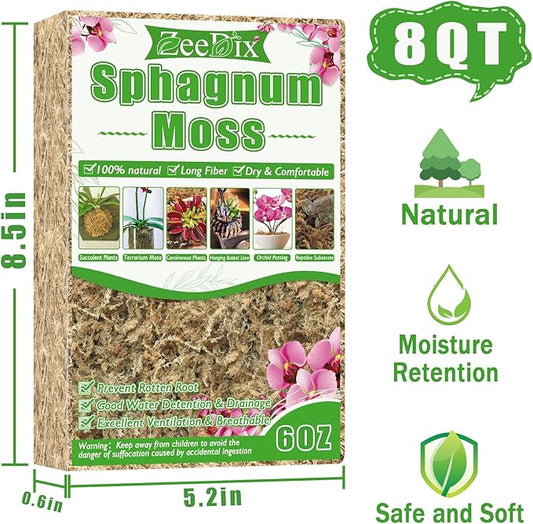ZeeDix 6 oz Sphagnum Moss for Plants Indoor, Long Fiber Natural Orchid Moss for Repotting Carnivorous Plants, Succulents, Monstera, Flower & Reptile Terrariums Habitats (Expands to 8 qt)